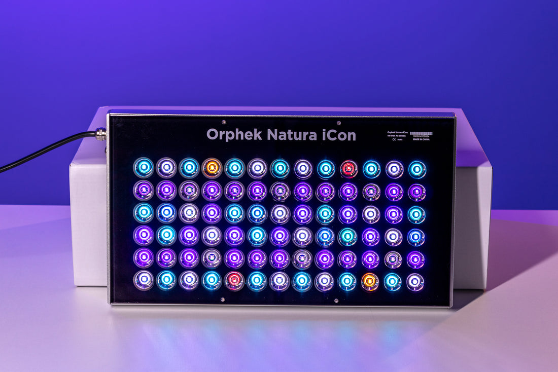 Orphek Natura iCon