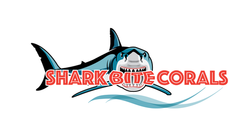 Shark Bite Corals